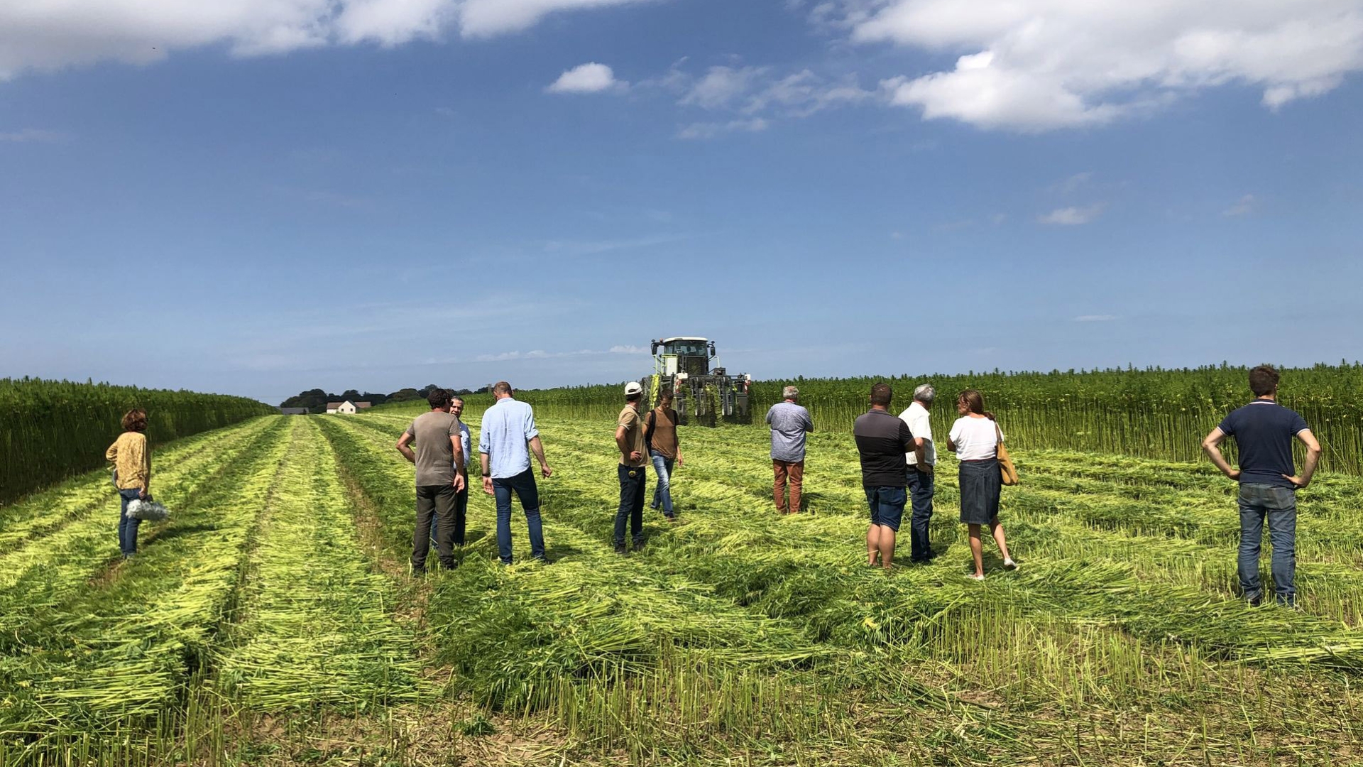 To gain a better understanding of the realities of hemp textile growing, the partners in the Hemp4Circularity project in 2023 went out to meet farmers. In France, Lin et Chanvre Bio conducted a survey of hemp-growing farmers in Normandy and Hauts de France.