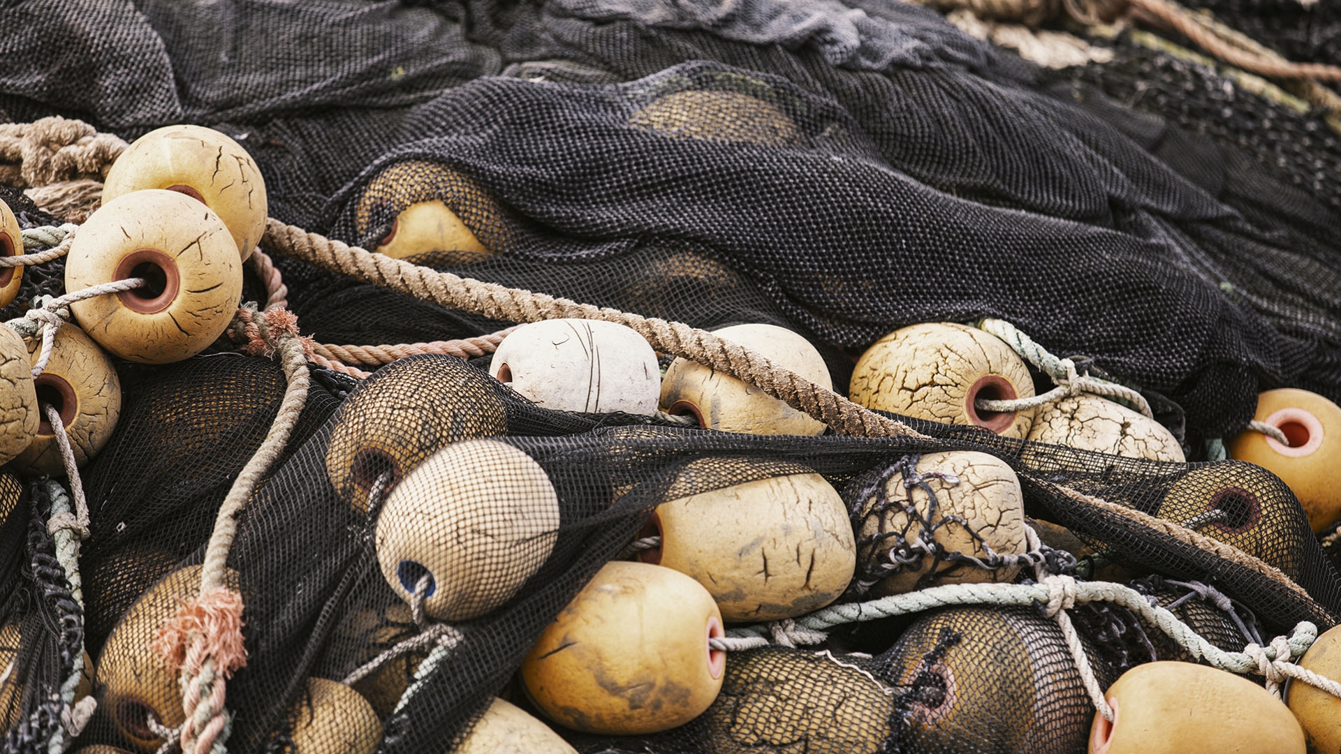 The argument for circular outerwear does not begin at the end of a garment's life. It begins with what the garment is made from, and why those choices matter.