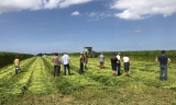 To gain a better understanding of the realities of hemp textile growing, the partners in the Hemp4Circularity project in 2023 went out to meet farmers. In France, Lin et Chanvre Bio conducted a survey of hemp-growing farmers in Normandy and Hauts de France.